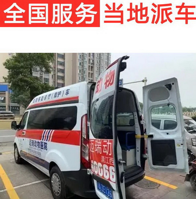 广州出租120电话号码